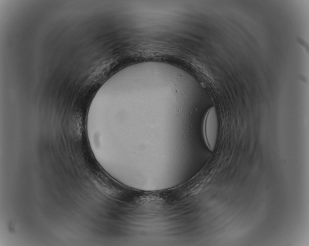 X0000090980644200708301250