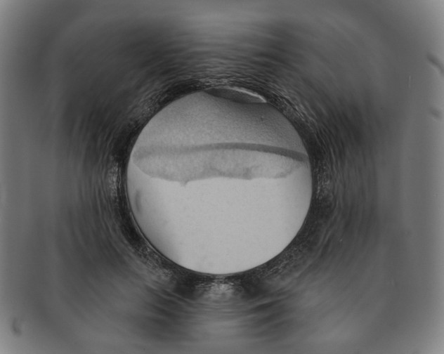 X0000090980647200708301250