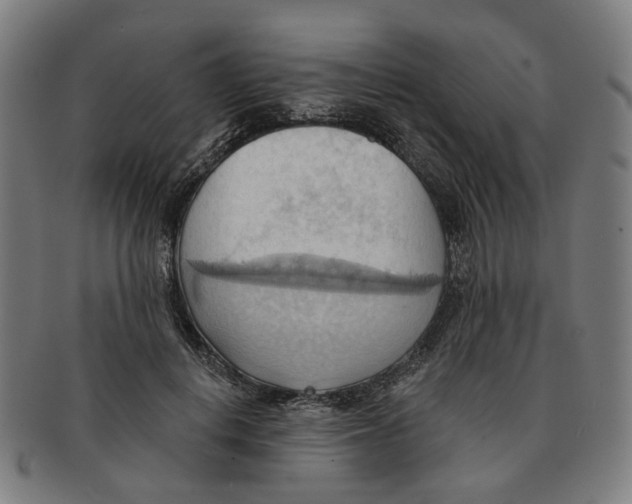 X0000090980648200708301250