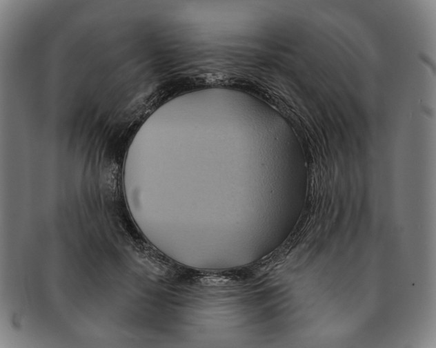 X0000090980650200708301250
