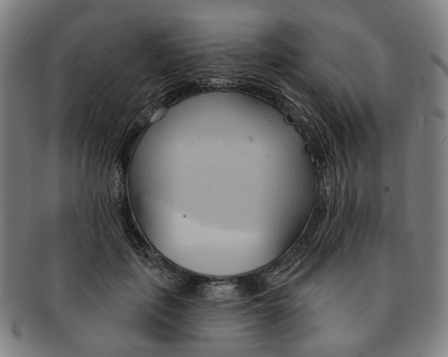 X0000090980651200708301250