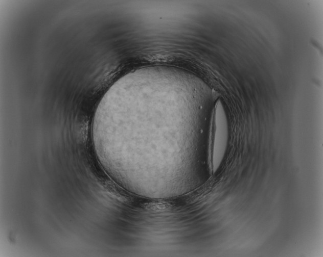 X0000090980652200708301250