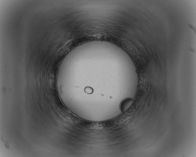 X0000090980656200708301250