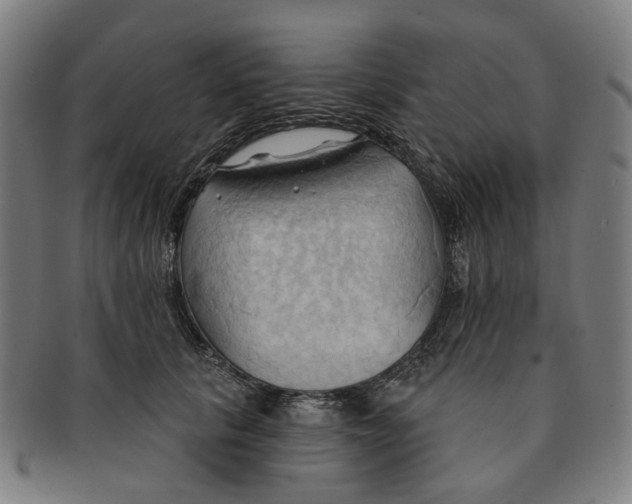 X0000090980657200708301250