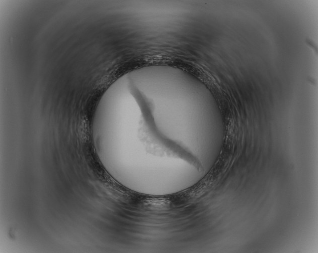 X0000090980659200708301250