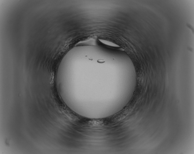 X0000090980660200708301250