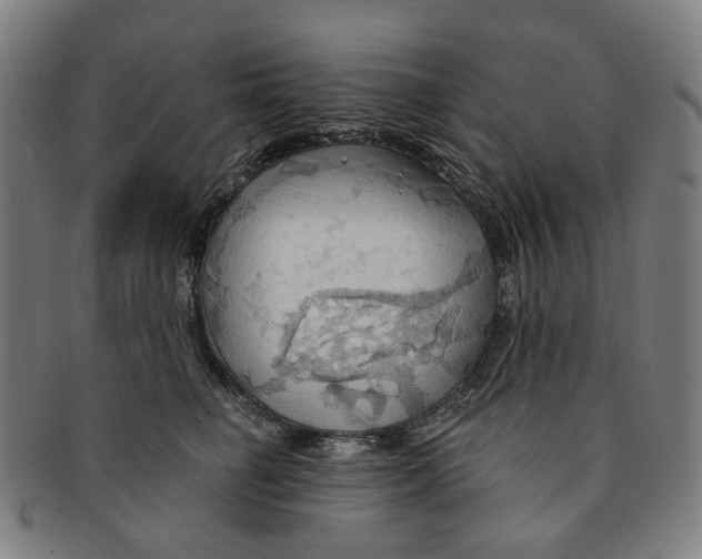 X0000090980662200708301250