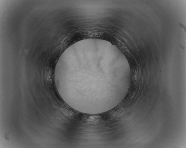 X0000090980663200708301250