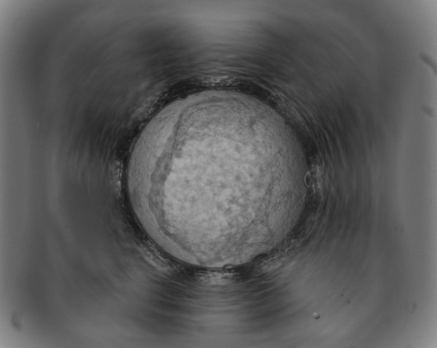 X0000090980664200708301250