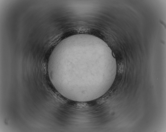 X0000090980666200708301250