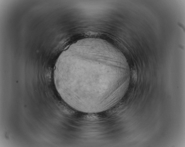X0000090980668200708301250