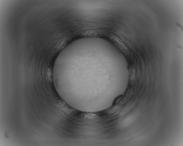 X0000090980669200708301250