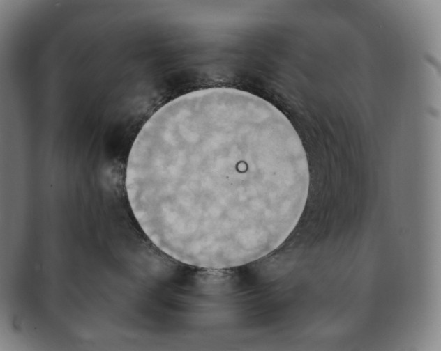 X0000090980672200708301250