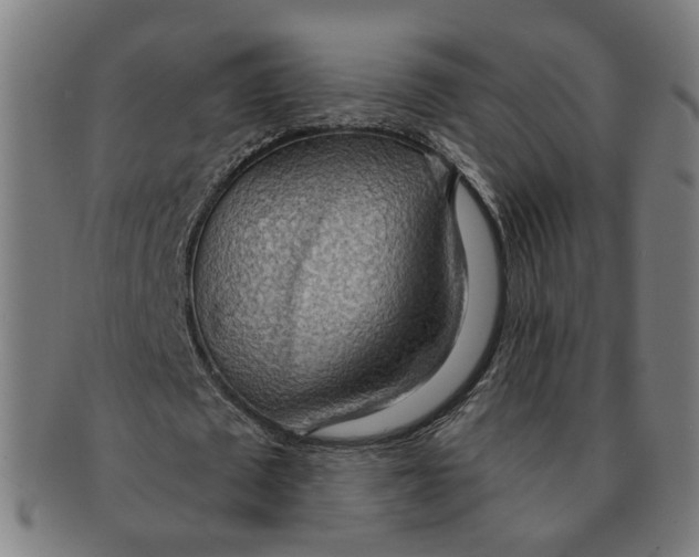 X0000090980673200708301250