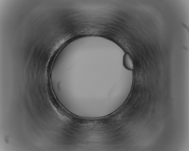 X0000090980674200708301250