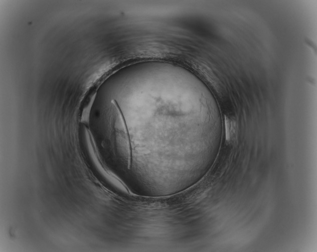 X0000090980675200708301250