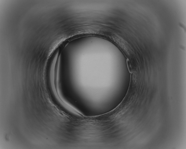X0000090980676200708301249