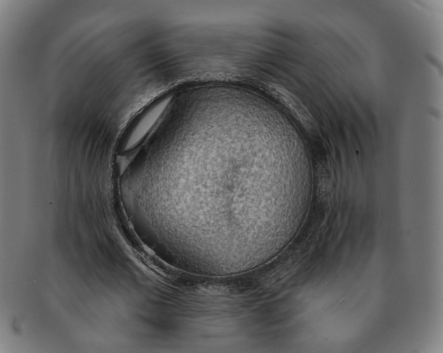 X0000090980677200708301249