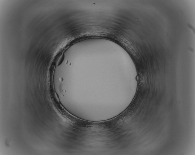 X0000090980678200708301249