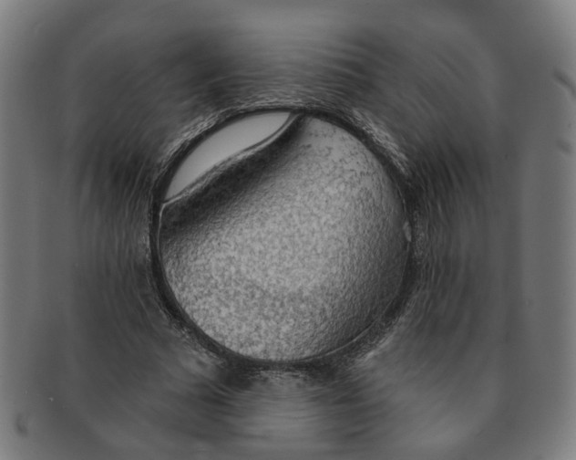 X0000090980681200708301249