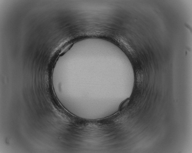 X0000090980684200708301249
