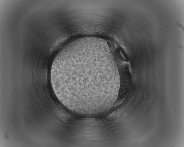 X0000090980685200708301249