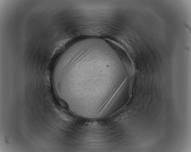 X0000090980688200708301249