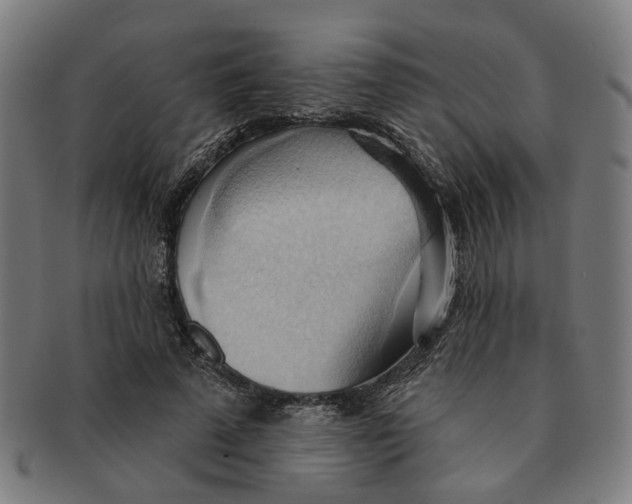 X0000090980689200708301249