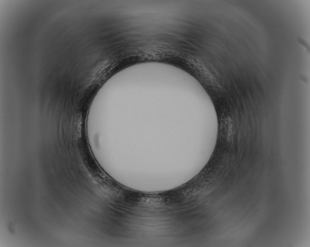 X0000090980694200708301249
