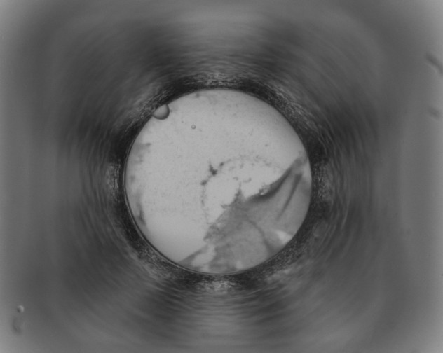 X0000090980695200708301249
