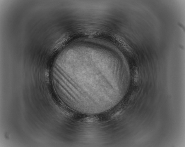 X0000090980696200708301249