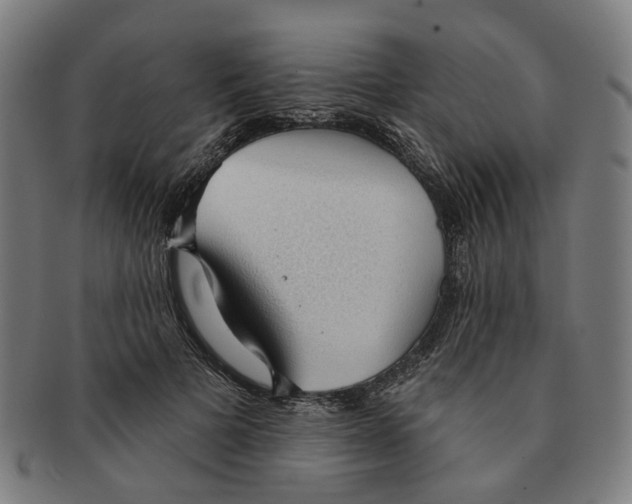 X0000090980697200708301249