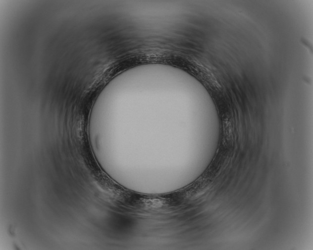X0000090980698200708301249