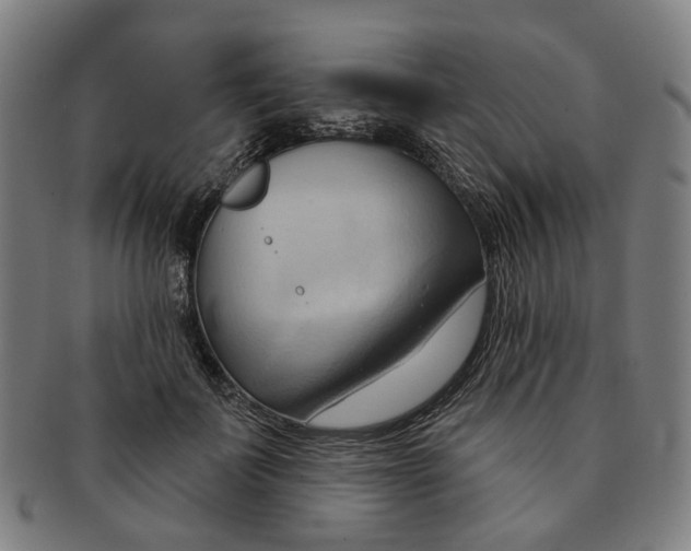 X0000090980699200708301249