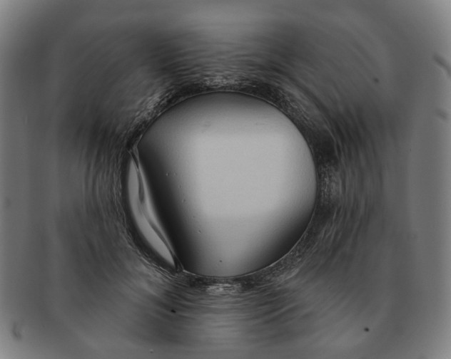 X0000090980700200708301249