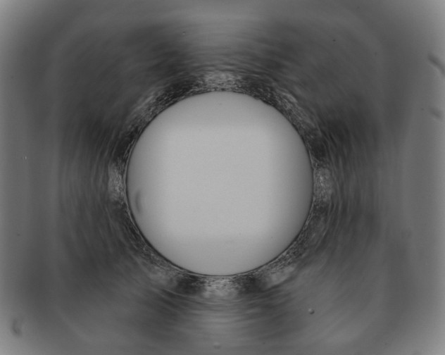 X0000090980705200708301249