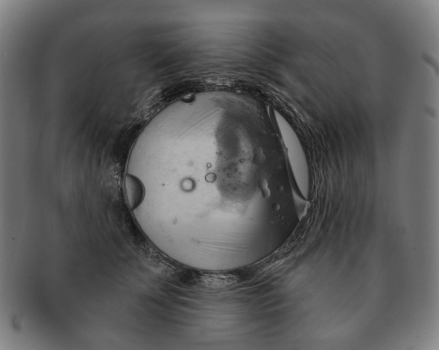 X0000090980707200708301249