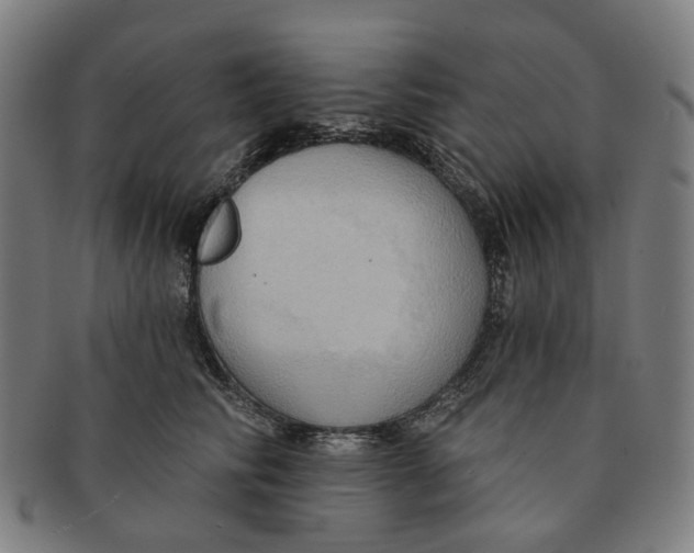 X0000090980710200708301249