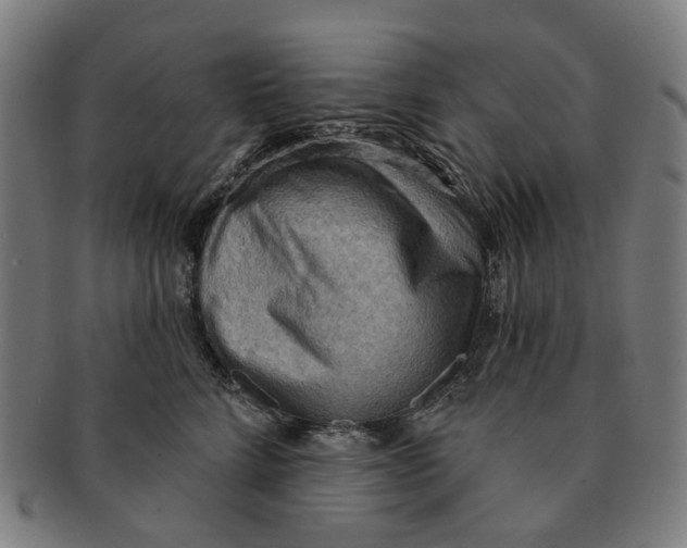 X0000090980712200708301249