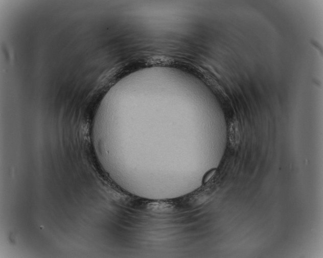 X0000090980714200708301249