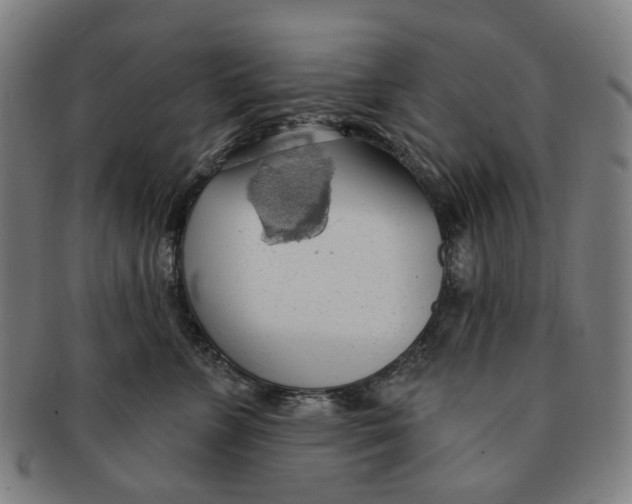 X0000090980715200708301249