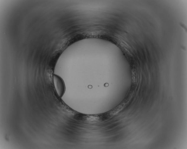 X0000090980718200708301249