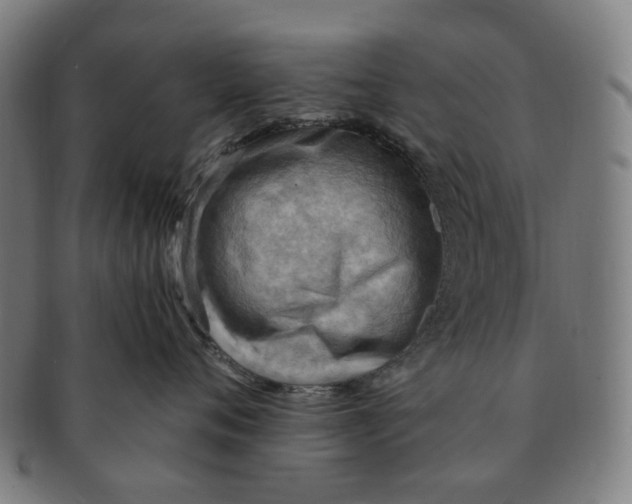X0000090980720200708301249