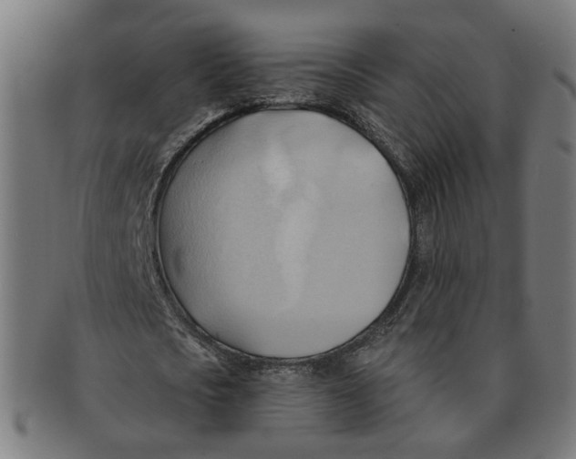X0000090980721200708301248
