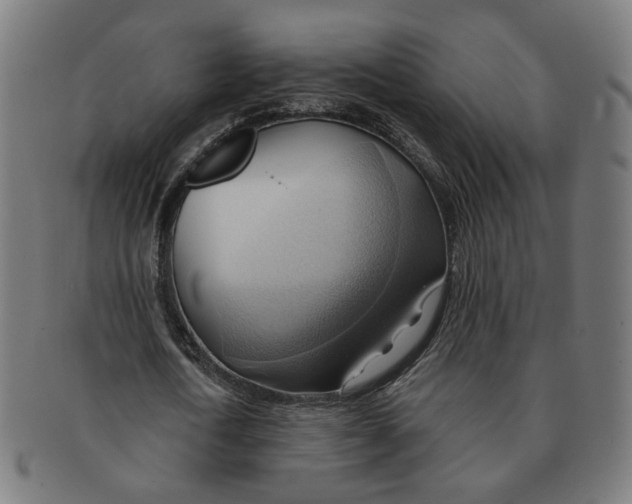 X0000090980722200708301248