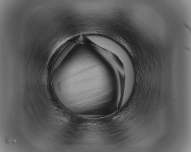 X0000090980724200708301248