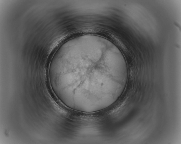 X0000090980725200708301248