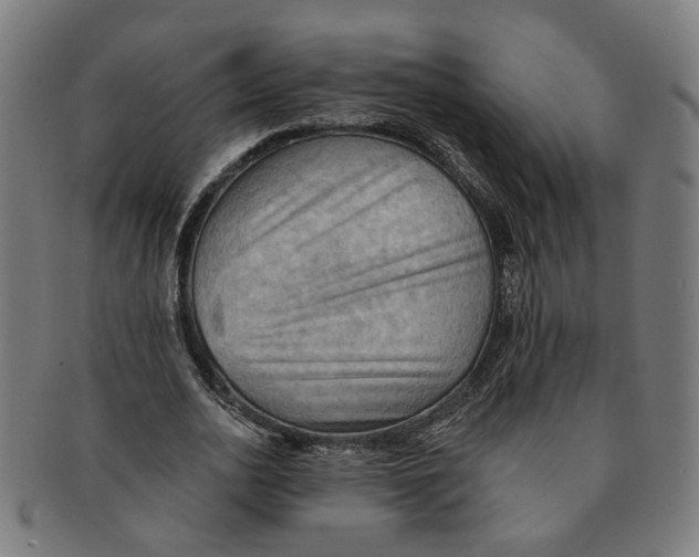 X0000090980726200708301248
