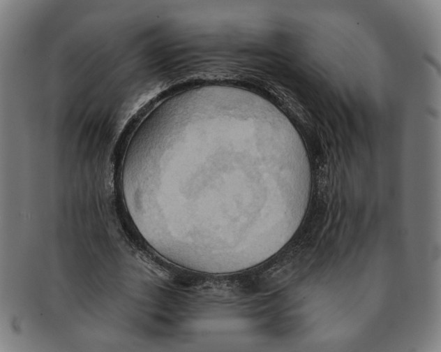X0000090980727200708301248