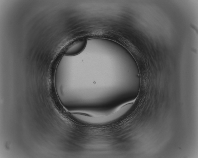X0000090980728200708301248